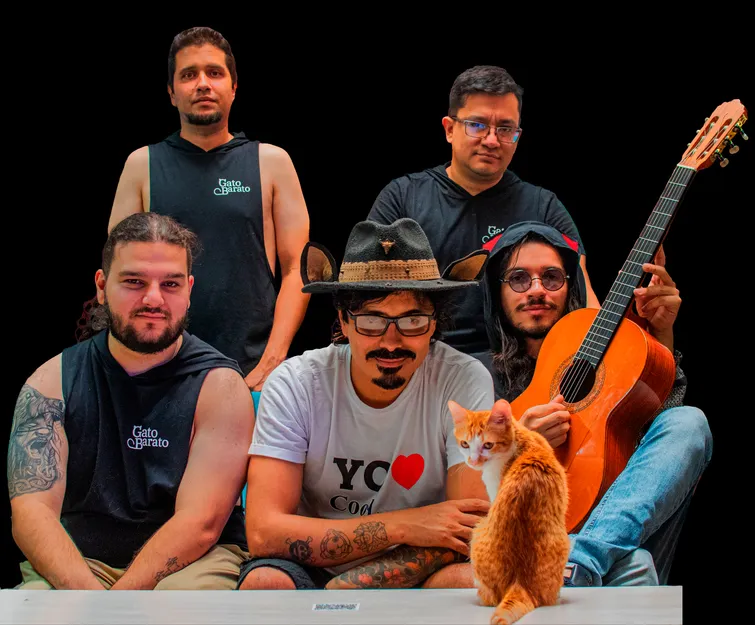 Gato Barato